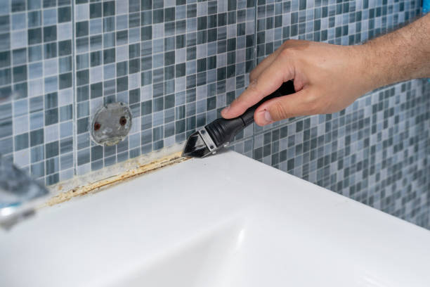 Best Mold Inspection  in Lehi, UT